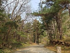 -金龙寺国家森林公园