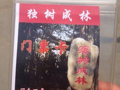 -瑞丽独树成林风景区