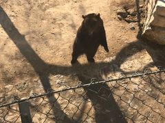 -石家庄市动物园