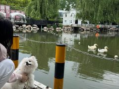 -J Create城市露营咖啡·简餐·宠物(上海动物园店)