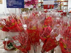 -山姆会员商店(上海浦东店)