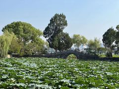 -无锡蠡湖国家湿地公园-蠡园