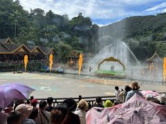 -西双版纳原始森林公园