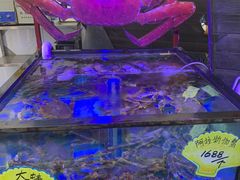 -喜碧海鲜·二十年本土海鲜老字号(上排店)