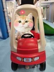 -MELAND(大融城店)