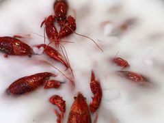 -日食记精菜馆(建邺万达店)