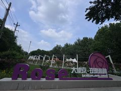 -大望京公园