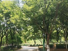 -太子山公园(园东路)
