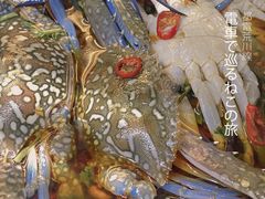 -圆蛋酒料•生腌(开元路店)