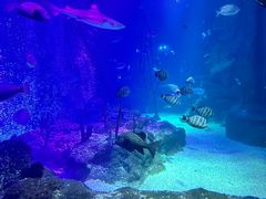 -沈阳海洋探索中心