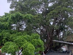 -烟桥古村