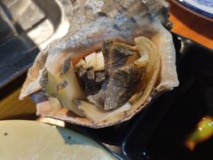 韩式海螺-丹东特色烤肉(南光三部店)