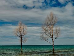 -青海湖国家重点风景名胜区