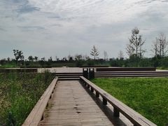 -汉长安城未央宫国家考古遗址公园