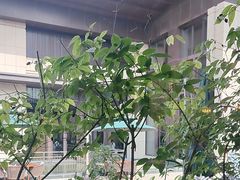 -西安凯悦酒店-自助餐厅·海鲜·烧烤