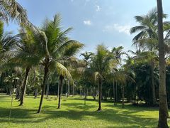 -中国科学院西双版纳热带植物园