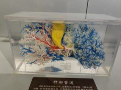 -陕西自然博物馆