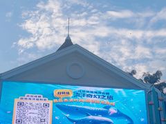 -海合安成都极地海洋公园
