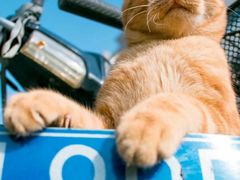 -韩风源烧烤涮自助餐厅(禹州新一峰店)