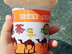 杏皮茶-鹏馨羊羔肉·非遗(新建街店)