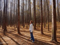 -山王坪喀斯特国家生态公园