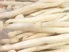 白玉菇-三头牛·潮汕牛肉生蚝火锅 (夏湾店)