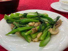 生炒菜心-大岭山烧鹅基