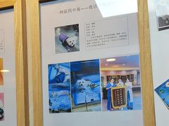 -半岛宠物医院24小时·内窥镜·牙科·碎石中心(府城大道店)