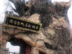 -大槐树寻根祭祖园
