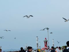 -东港音乐喷泉广场