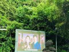 -金鸡山公园