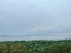 -阳澄湖费尔蒙酒店