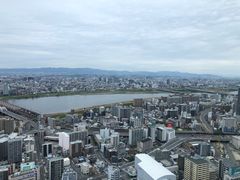 -大国药妆(銀座一丁目駅前店)