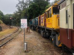 -热带雨林自然公园