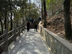 -上海佘山国家森林公园西佘山园