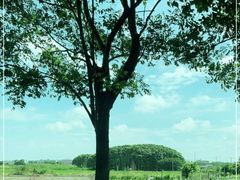 -祝甸砖窑文化馆