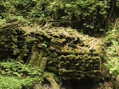 -凤凰山国家森林公园
