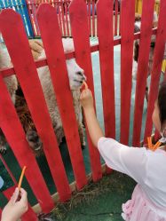 -萌宠亲子动物乐园(槐房万达店)