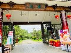 -上海海湾国家森林公园