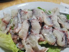 -金砂阿洲鱼册店