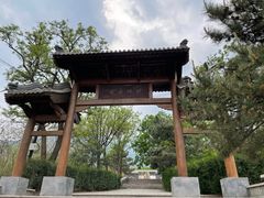 -阳台山自然风景区