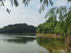 -三岔湖高家庄农家乐烤全羊柴火鸡翘壳鱼(三岔湖店)