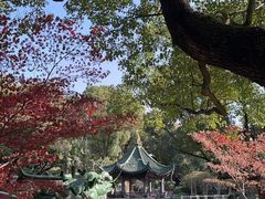 -申粤轩酒楼·三十年粤菜经典(丁香花园店)