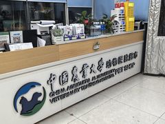 -中国农业大学动物医院