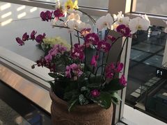 -厦门高崎国际机场-T3航站楼