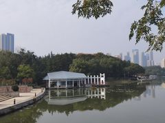 -月湖风景区