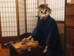 -6号玩家桌游吧(汉街店)