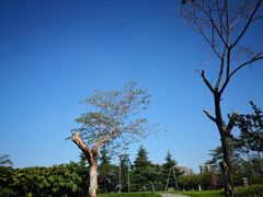 -白塘生态植物园