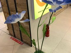 -CoCo都可(汉神购物广场店)