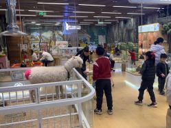 -小象动悟公园(龙湖亦庄天街店)